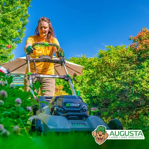 Augusta Lawn Care of Chesapeake photo 1