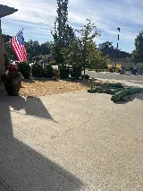 Boise Pest Control photo 4