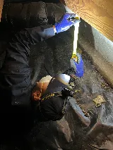 PURCOR Pest Solutions photo 4