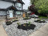 Coastal Pacific Landscaping photo 2