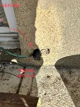 Clearview Pest Control & Exterminator Services photo 3