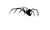 Preventive Pest Control Utah