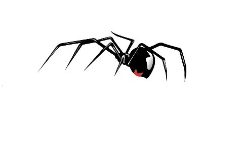 Preventive Pest Control Utah photo 1