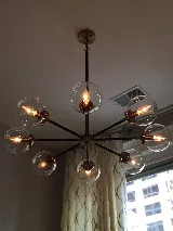 Lauterborn Electric photo 5