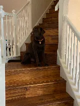 River City Flooring photo 4