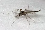 Rest Easy Pest Control photo 5