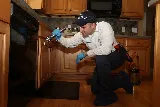Insight Pest Solutions photo 4