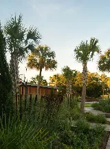 Carolina Landscape Inc photo 2
