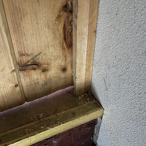 Envirocare Pest Control, LLC in Waterbury