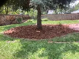 Colorados Own Landscaping photo 4