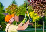 Abbotsford Landscaping Pros photo 4