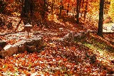 Thorpe Landscapes of Asheville photo 5