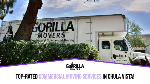 Gorilla Movers photo 1