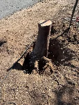 Goodman's Landscaping LLC photo 8