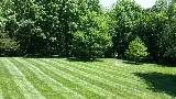 Grizzly Bear Lawn Care photo 7