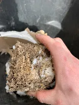Arrow Termite & Pest Control photo 6