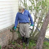 Curry's Termite, Pest & Animal Control photo 3