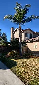 Prowess Landscaping Maintenance Inc.
