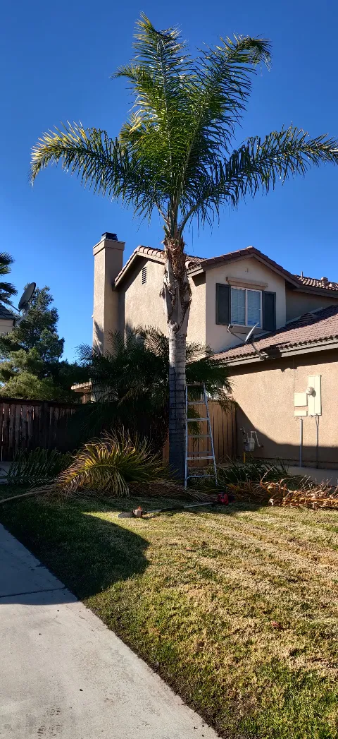 Prowess Landscaping Maintenance Inc. photo 1