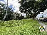 Cheapest Yard Service photo 8