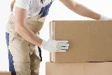 Ned's Movers photo 8
