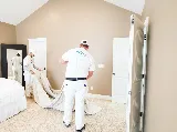 Painter1 Knoxville photo 3