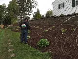 King Maple Landscaping LLC