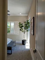 Park View at Whitney Ranch by The New Home Company photo 4