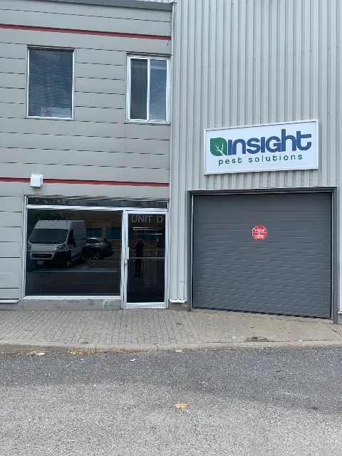Insight Pest Solutions Ottawa photo 1