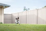 SafeYard Mosquito Control