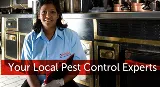 Presto-X Pest Control photo 8