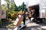 Fox Moving and Storage photo 7