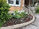 Paul Henry Landscaping photo 5