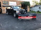 Runnin'Bugz Pest Solutions photo 8