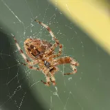 Stewart Termite & Pest Control photo 7