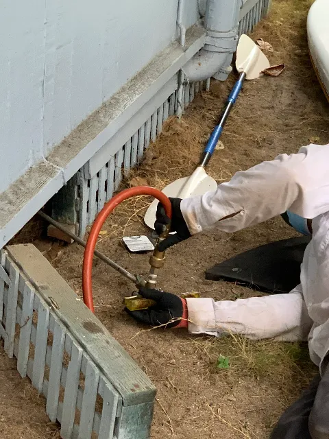 Kilauea Pest Control photo 1