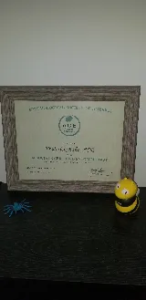 Assurance Pest Solutions photo 4