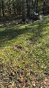 McCall Pest & Wildlife - Jacksonville photo 2