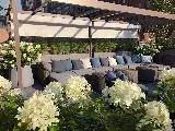 Todd Haiman Landscape Design photo 5