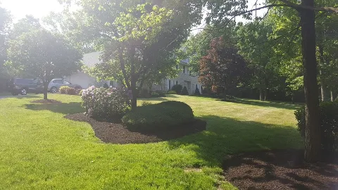 Martinez Landscaping & Stone photo 1