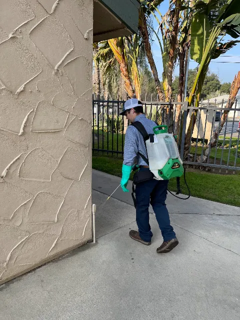 Valley Wide Pest Control Inc. photo 1
