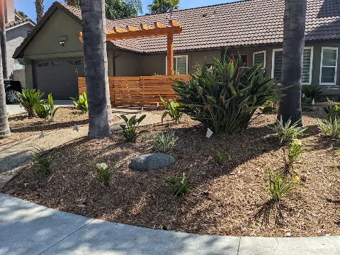 MSE Landscape Professionals photo 1