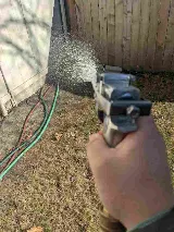 Bulwark Exterminating photo 5