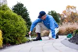American Pest photo 4