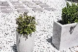Model One Landscape Design photo 5
