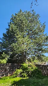 Rodriguez Landscape, Inc photo 6
