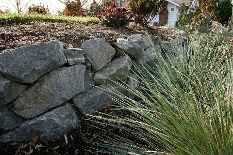 Ecoyards in Seattle