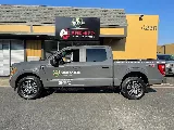 Crown & Shield Pest Solutions