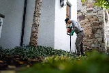 Greenix Pest Control photo 7