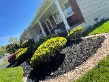 F&E Garden Maintenance photo 4